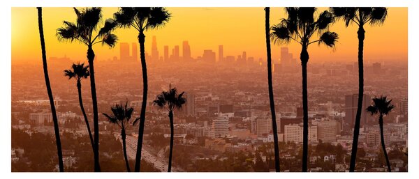 Tablou - Panorama din Los Angeles (120x50 cm)