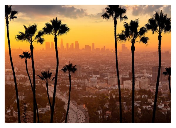 Tablou - Panorama din Los Angeles (70x50 cm)