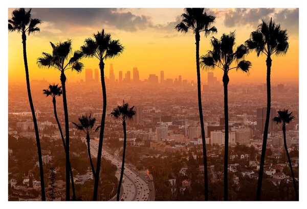 Tablou - Panorama din Los Angeles (90x60 cm)
