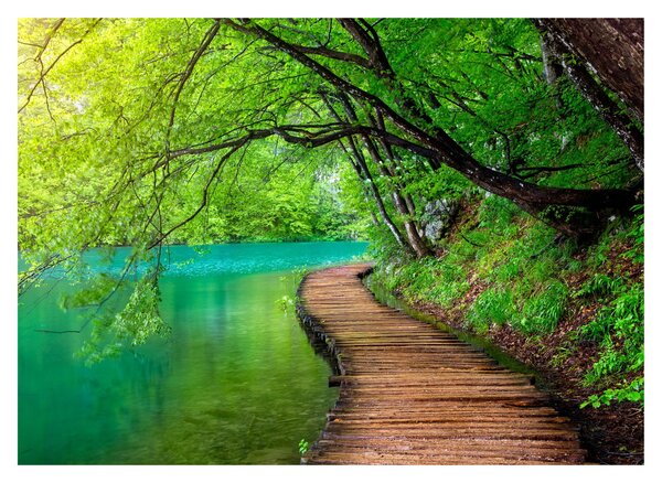 Tablou - Lacurile Plitvice (70x50 cm)