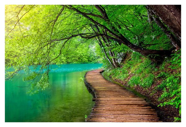 Tablou - Lacurile Plitvice (90x60 cm)