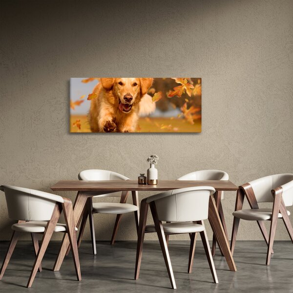 Tablou - Golden Retriever (120x50 cm)