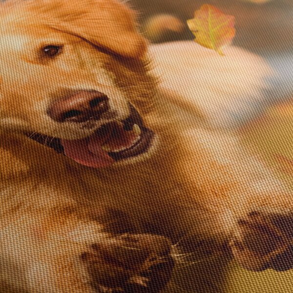 Tablou - Golden Retriever (90x60 cm)