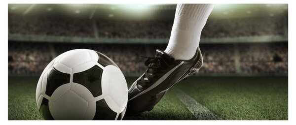 Tablou - Minge de fotbal (120x50 cm)