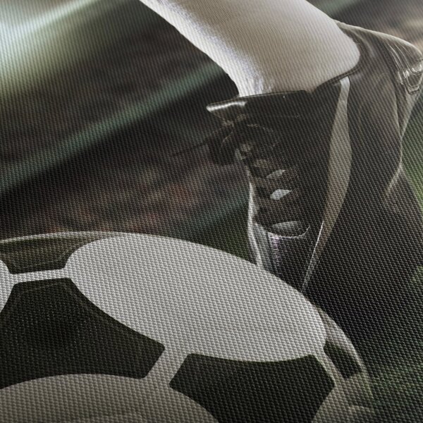 Tablou - Minge de fotbal (120x50 cm)