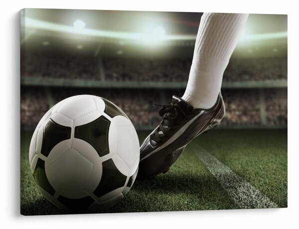 Tablou - Minge de fotbal (70x50 cm)