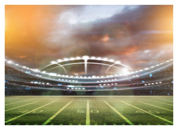 Tablou - Stadion (70x50 cm)