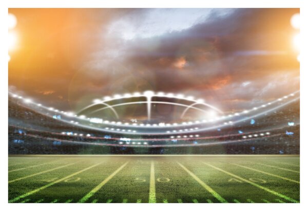Tablou - Stadion (90x60 cm)