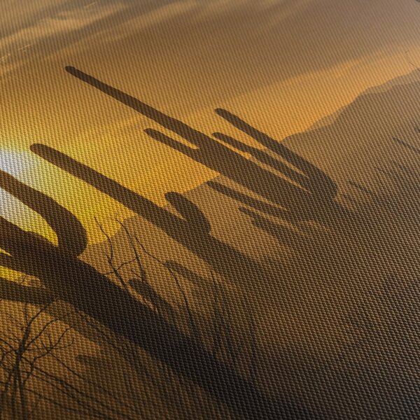 Tablou - Cactuși Saguaro (90x60 cm)