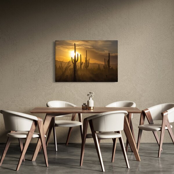 Tablou - Cactuși Saguaro (90x60 cm)