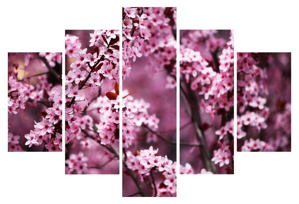 Tablou - Sakura roz (150x105 cm)