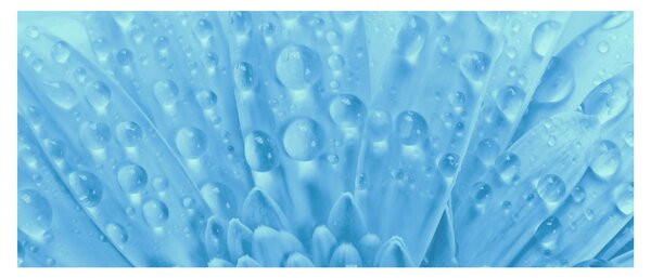 Tablou - Macro împușcat de o floare (120x50 cm)