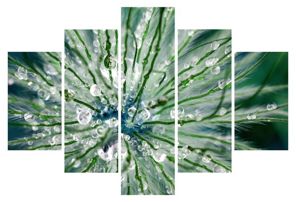 Tablou - Imagine macro a unei flori (150x105 cm)