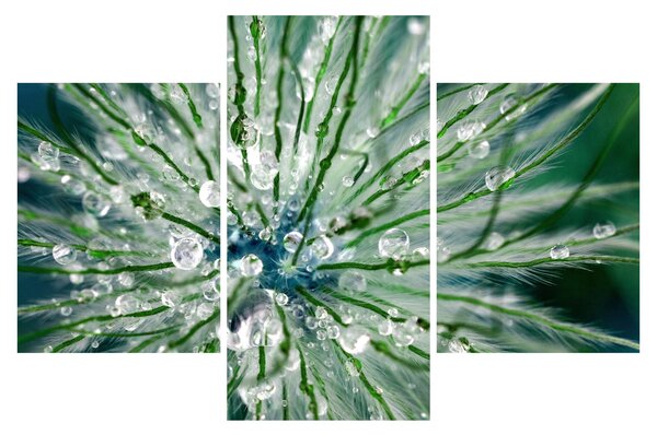 Tablou - Imagine macro a unei flori (90x60 cm)