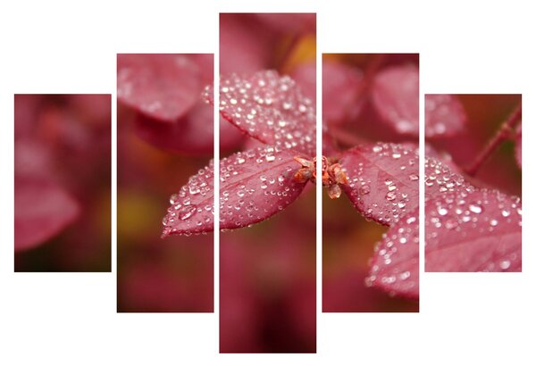Tablou - Imagine macro a biletului (150x105 cm)