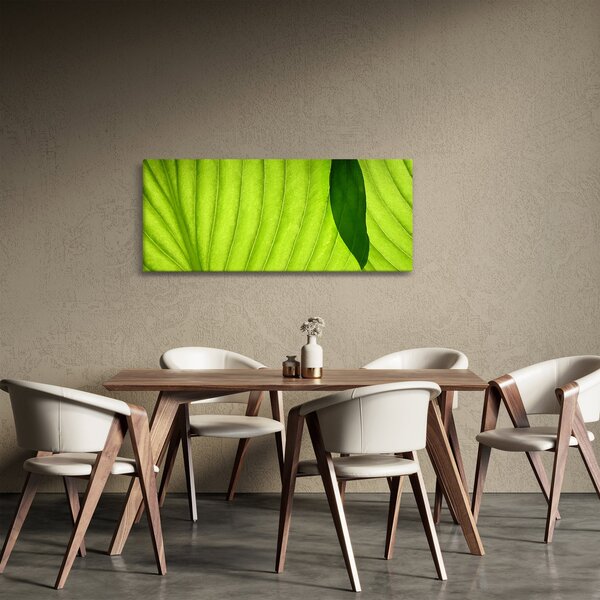 Tablou - Detaliu de frunză verde (120x50 cm)