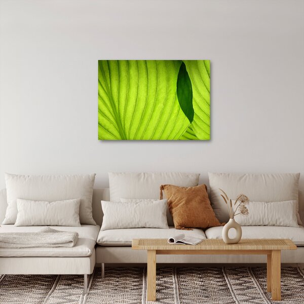 Tablou - Detaliu de frunză verde (70x50 cm)
