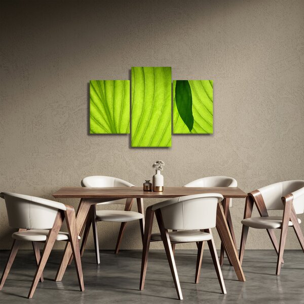 Tablou - Detaliu de frunză verde (90x60 cm)