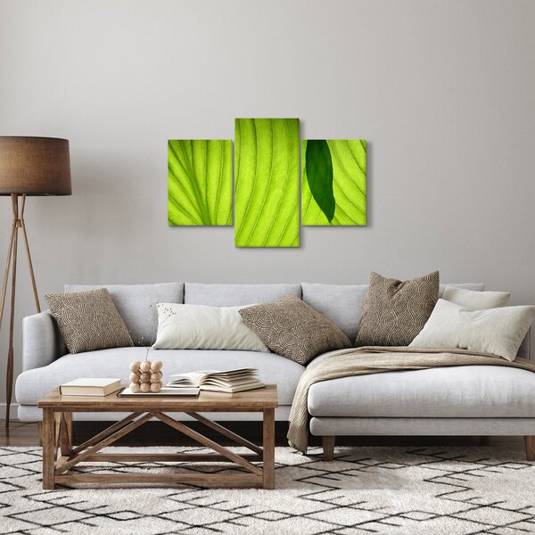 Tablou - Detaliu de frunză verde (90x60 cm)