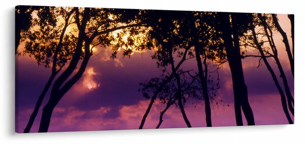 Tablou - Copaci la apus de soare (120x50 cm)