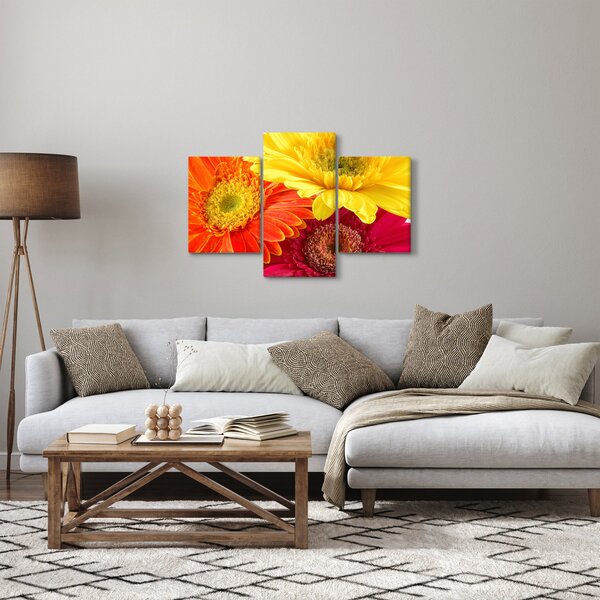 Tablou - Flori Gerbery (90x60 cm)