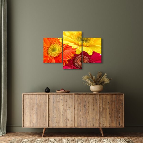 Tablou - Flori Gerbery (90x60 cm)