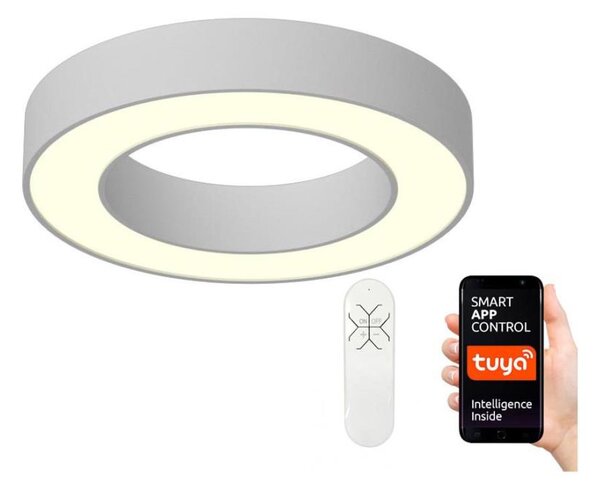 Immax NEO 07095L - LED plafonieră dimabilă PASTEL LED/52W/230V 60 cm