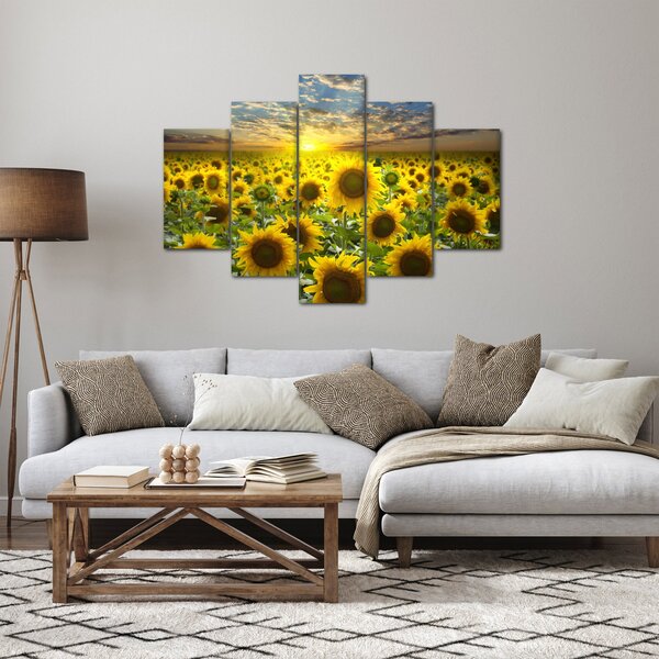 Tablou - Floarea-soarelui la apus de soare (150x105 cm)