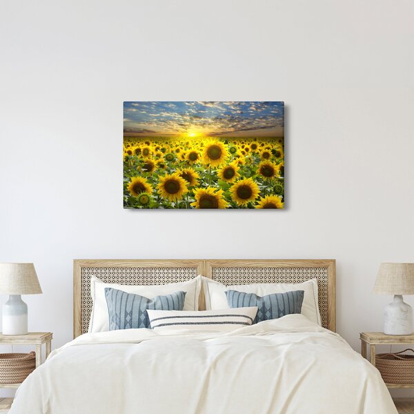 Tablou - Floarea-soarelui la apus de soare (90x60 cm)