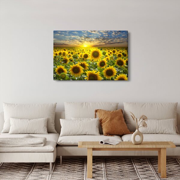 Tablou - Floarea-soarelui la apus de soare (90x60 cm)