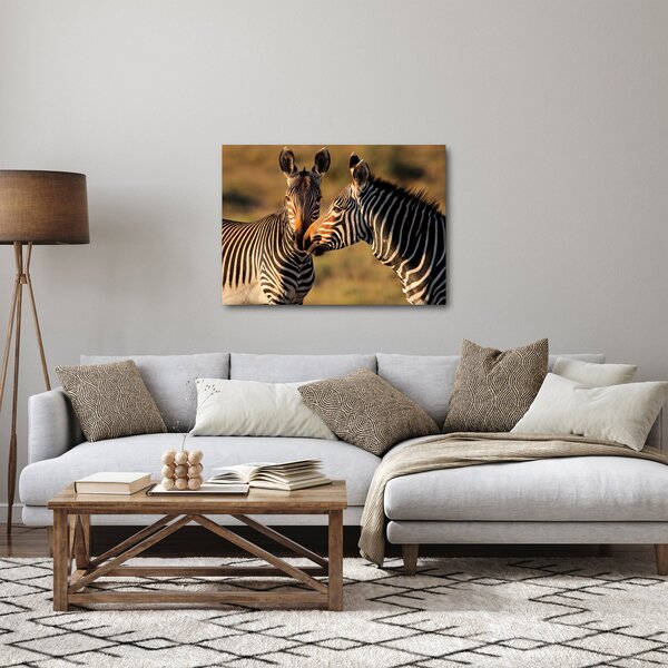 Tablou - Două zebre (70x50 cm)