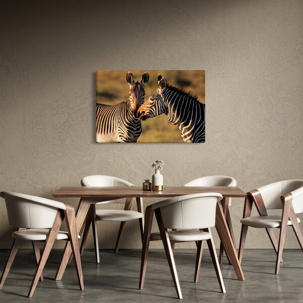 Tablou - Două zebre (90x60 cm)