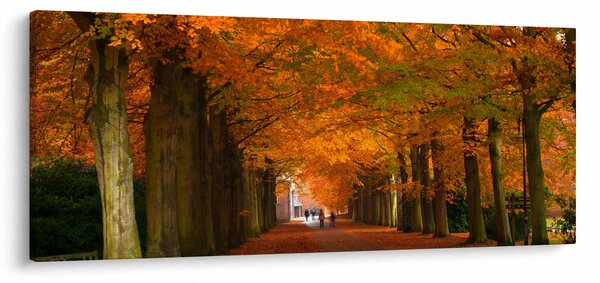 Tablou - Bulevardul de copaci în toamnă (120x50 cm)