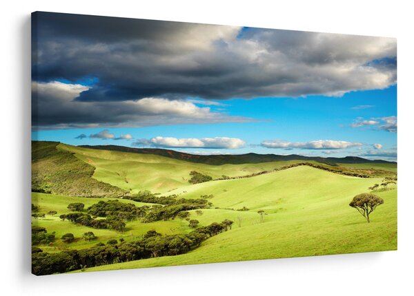 Tablou - Peisaj verde cu dealuri (90x60 cm)