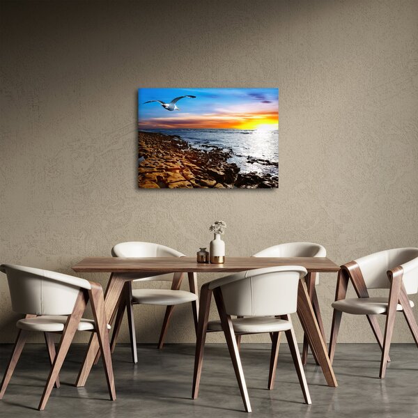 Tablou - Pescărușul zboară deasupra coastei (70x50 cm)