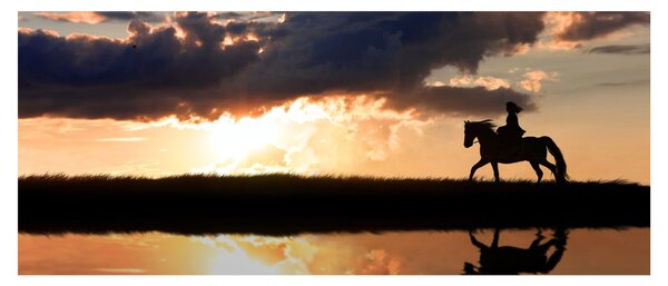 Tablou - Rider pe un cal la apus de soare (120x50 cm)