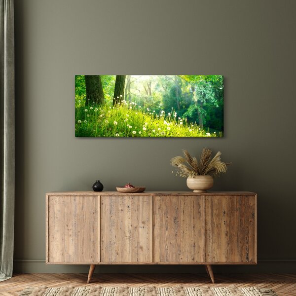 Tablou - Pajiște magică plină de păpădii (120x50 cm)