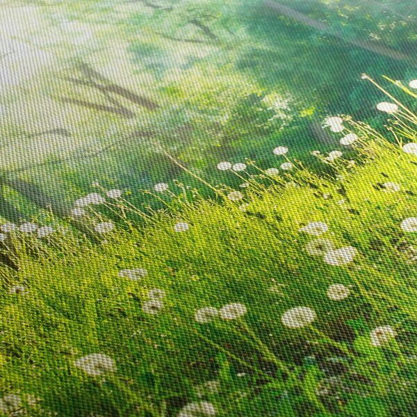 Tablou - Pajiște magică plină de păpădii (120x50 cm)