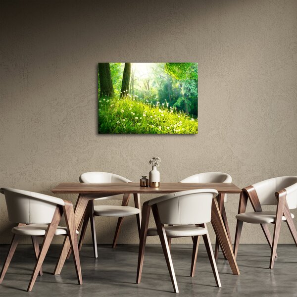 Tablou - Pajiște magică plină de păpădii (70x50 cm)