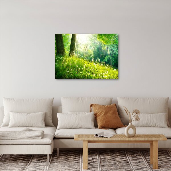 Tablou - Pajiște magică plină de păpădii (70x50 cm)