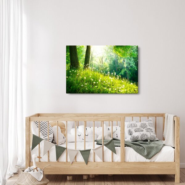 Tablou - Pajiște magică plină de păpădii (90x60 cm)