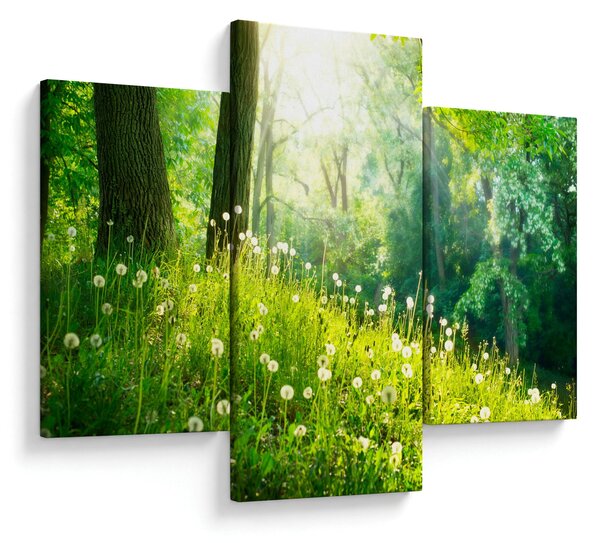 Tablou - Pajiște magică plină de păpădii (90x60 cm)