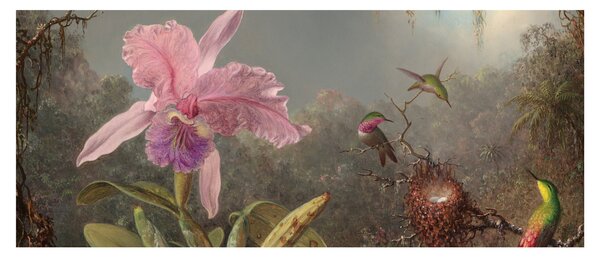 Tablou - Martin Johnson Heade, Cattleya Orchid and Three Hummingbirds, reproducere (120x50 cm)