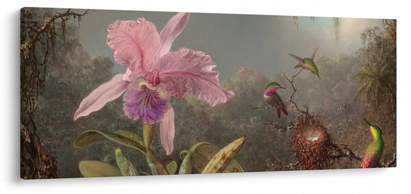Tablou - Martin Johnson Heade, Cattleya Orchid and Three Hummingbirds, reproducere (120x50 cm)