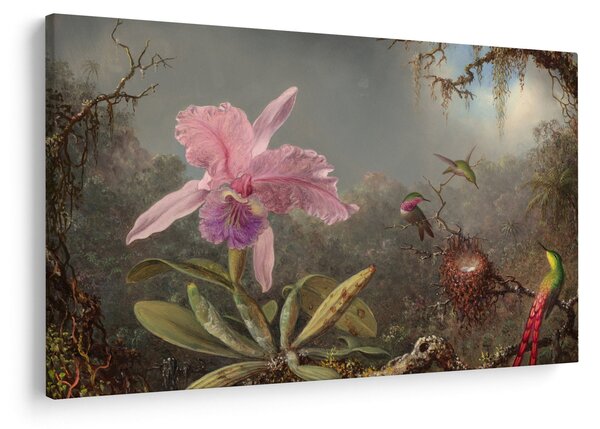 Tablou - Martin Johnson Heade, Cattleya Orchid and Three Hummingbirds, reproducere (90x60 cm)
