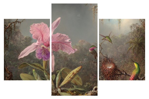Tablou - Martin Johnson Heade, Cattleya Orchid and Three Hummingbirds, reproducere (90x60 cm)