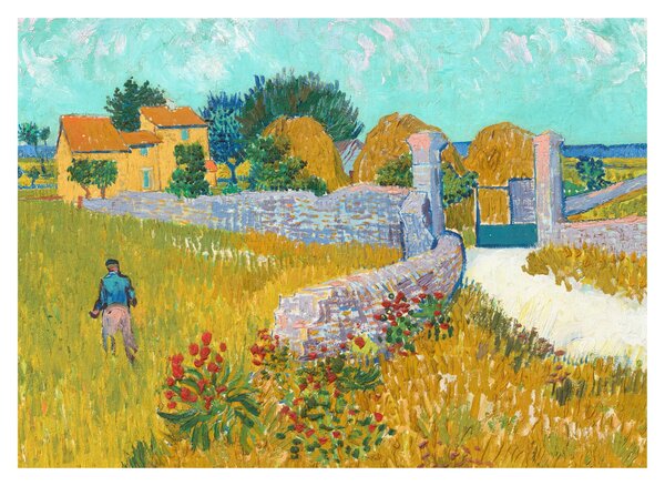 Tablou - Vincent van Gogh, Farmhouse in Provence, reproducere (70x50 cm)