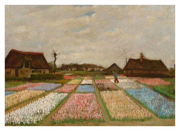 Tablou - Vincent van Gogh, Flower Beds in Holland, reproducere (70x50 cm)