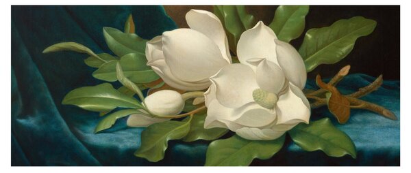 Tablou - Martin Johnson Heade, Giant Magnolias on a Blue Velvet Cloth, reproducere (120x50 cm)