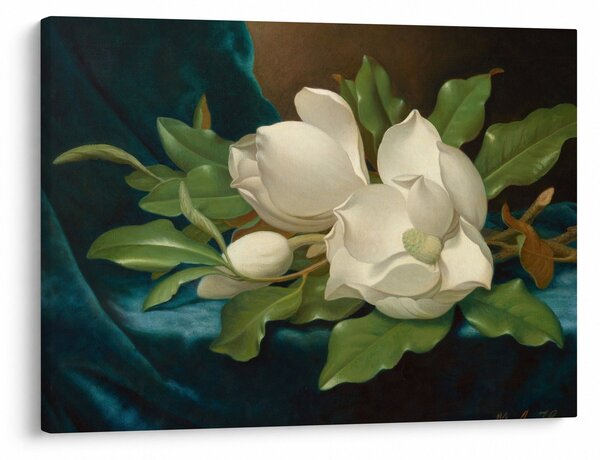 Tablou - Martin Johnson Heade, Giant Magnolias on a Blue Velvet Cloth, reproducere (70x50 cm)